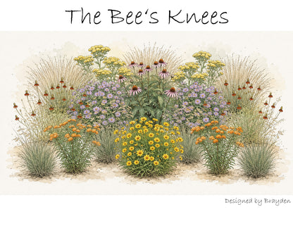 Bee's Knees (Full Sun)