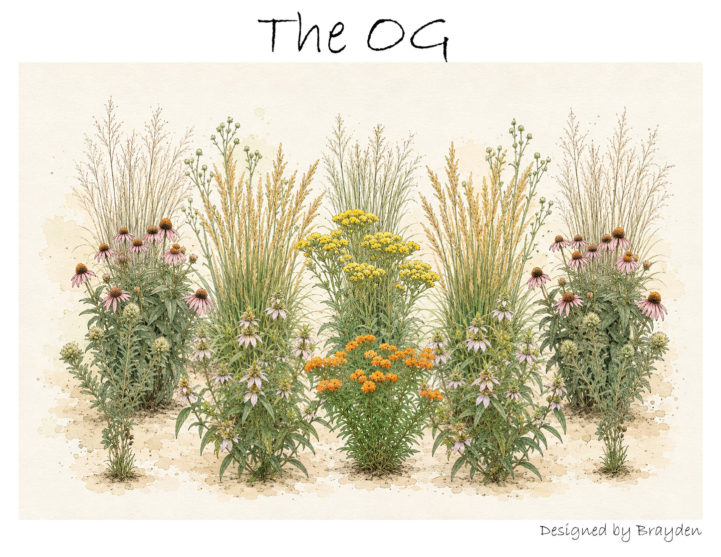 The OG (Original Garden)