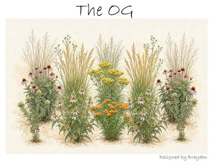 The OG (Original Garden)