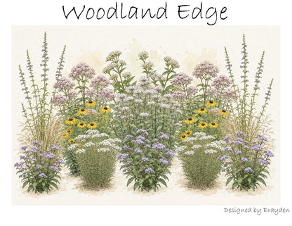 Woodland Edge (Part-Sun, deer and rabbit resistant!)