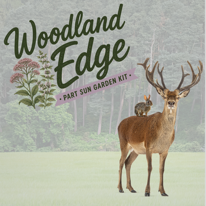 Woodland Edge (Part-Sun, deer and rabbit resistant!)