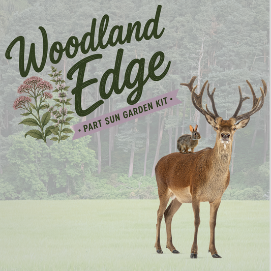 Woodland Edge (Part-Sun, deer and rabbit resistant!)
