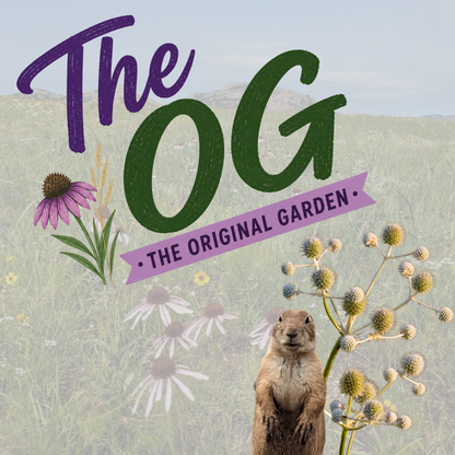 The OG (Original Garden)